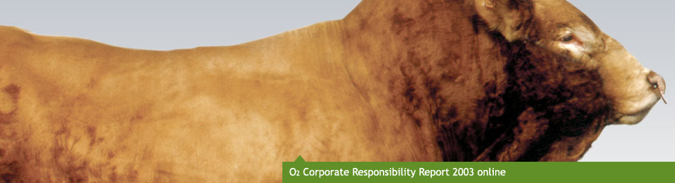 O2 Corporate Responsibilty Report 2003 online
